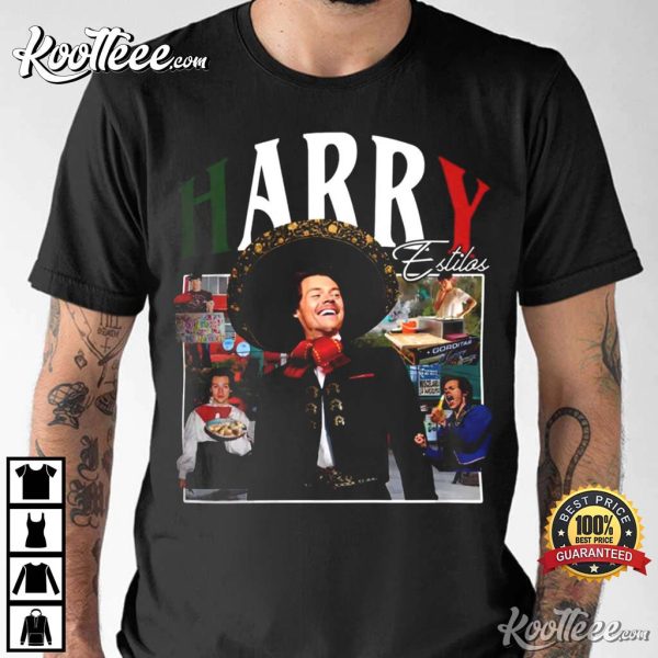 Harry Styles Anthonypham T-Shirt