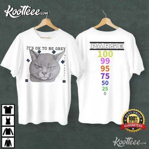 Cat Gaming Parse Its Ok To Be Grey T Shirt 1