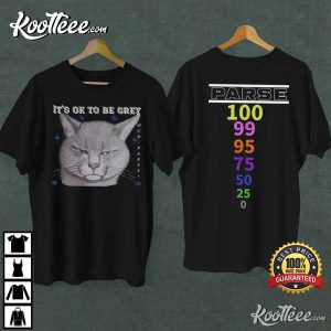 Cat Gaming Parse It’s Ok To Be Grey T-Shirt Cat Gaming Parse It’s Ok To Be Grey T-Shirt
