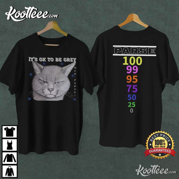 Cat Gaming Parse It’s Ok To Be Grey T-Shirt